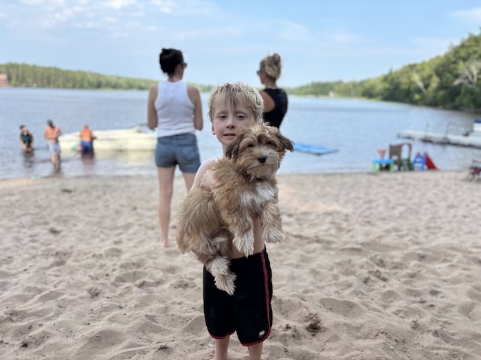 A young boy holding a Havanese dog at the beach.